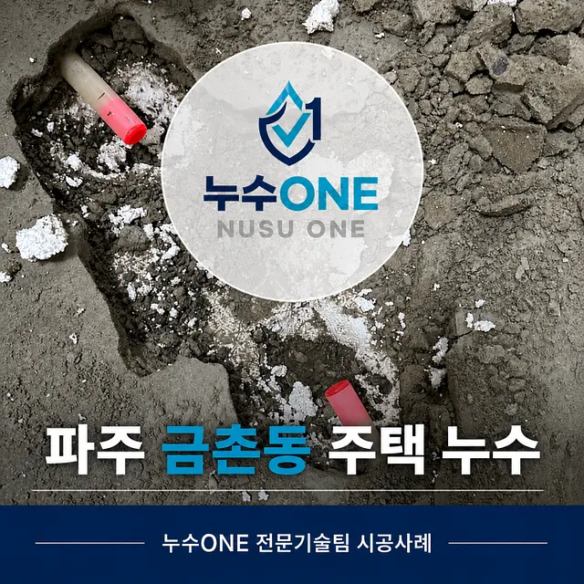 파주 금촌동 주택 누수, 경화된 냉수배관을 길게 교체한 현장 현장