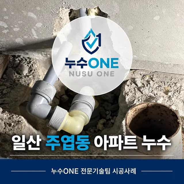 일산서구 주엽동 아파트 누수, 아랫집 주방천장누수 시공사례 현장
