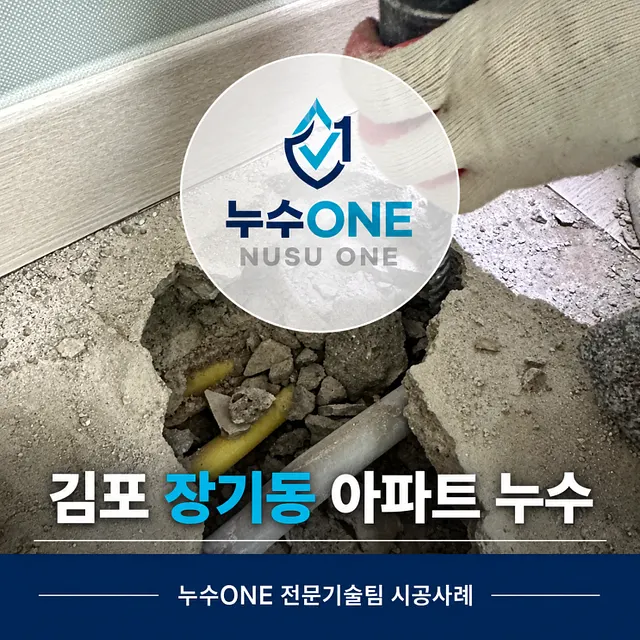 김포 장기동 아파트 누수 아랫집 천장 누수 원인은 냉수배관이었습니다 현장