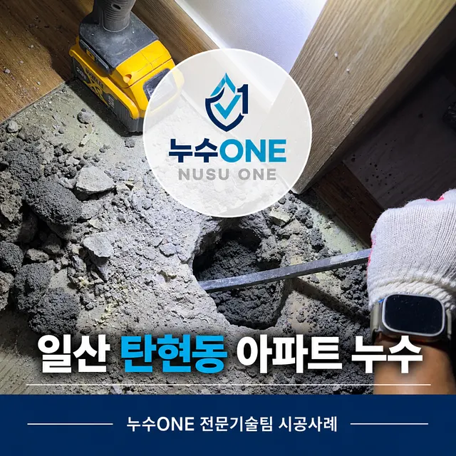 일산 탄현동 아파트 누수, 아랫집 천장 누수 시공사례 현장