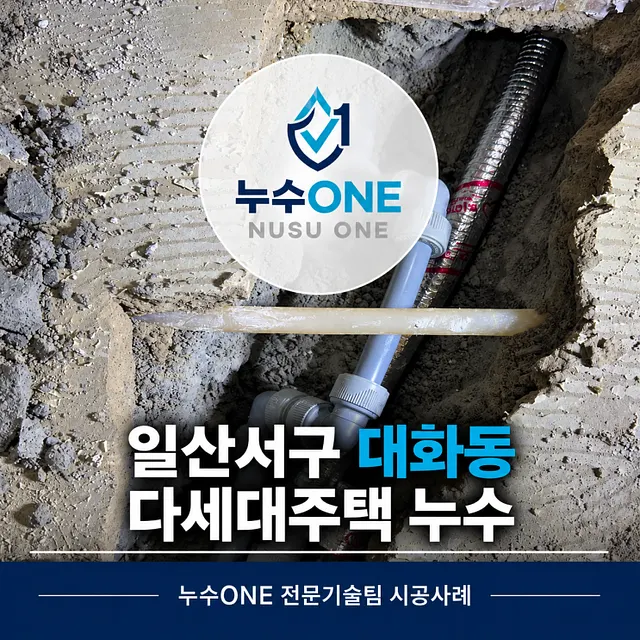 일산서구 대화동 다세대주택 누수, 냉수배관 압력손실 확인 후 수리 현장